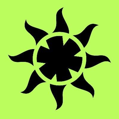 RAA Vision logo